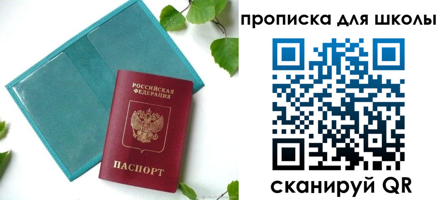 прописка в Гае